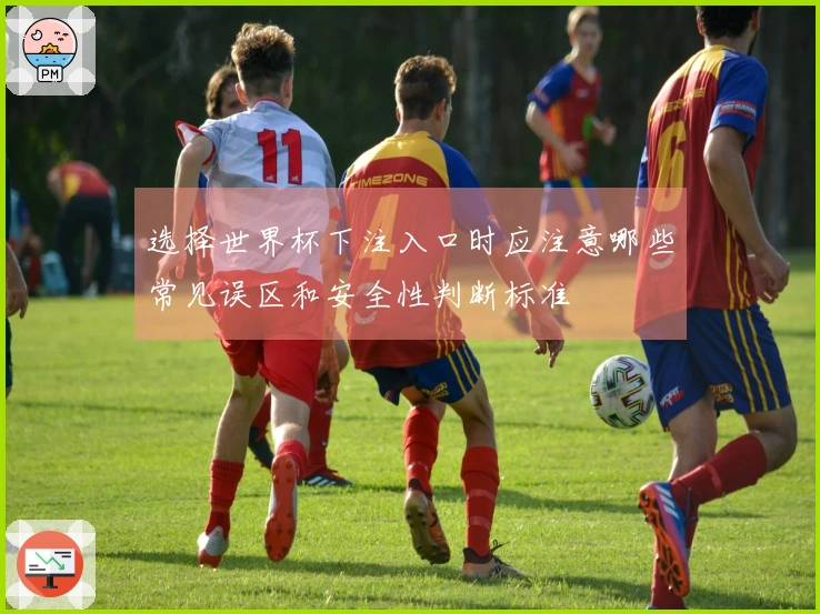 选择世界杯下注入口时应注意哪些常见误区和安全性判断标准
